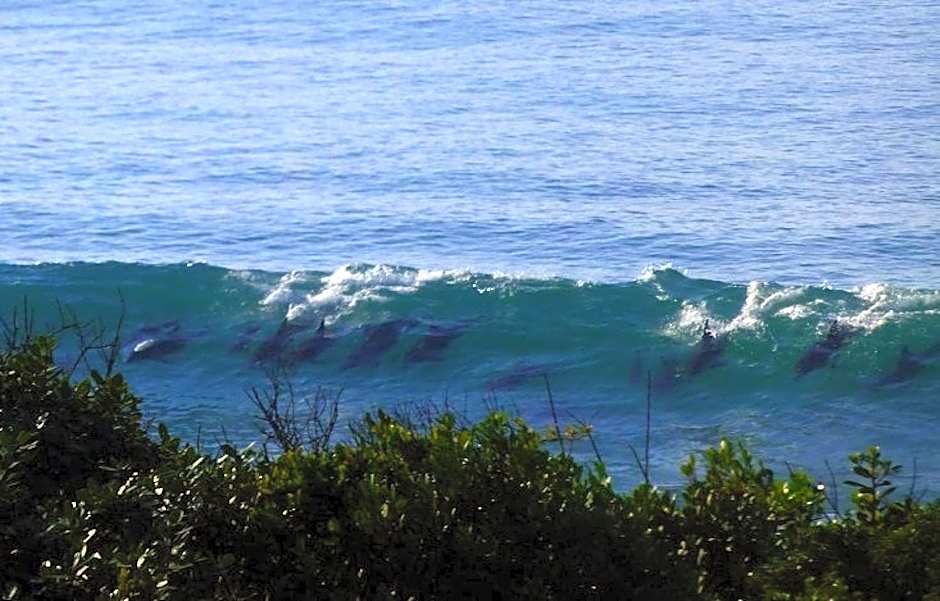 Shaloha Guesthouse on Supertubes