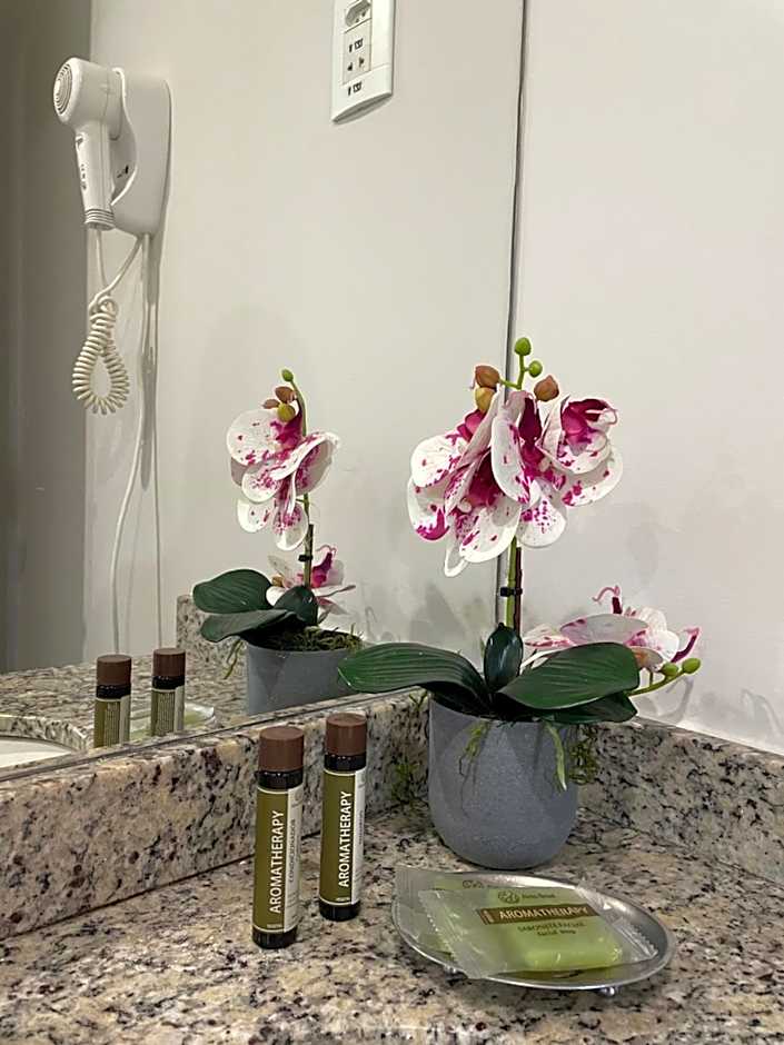 Flat IATE CLUBE Home Experience Praia do Canto