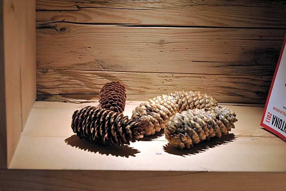 Sassdei My Active Suite Hotel