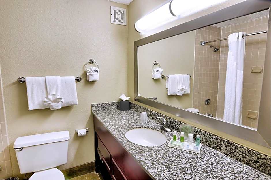 Holiday Inn St. Petersburg N - Clearwater By IHG