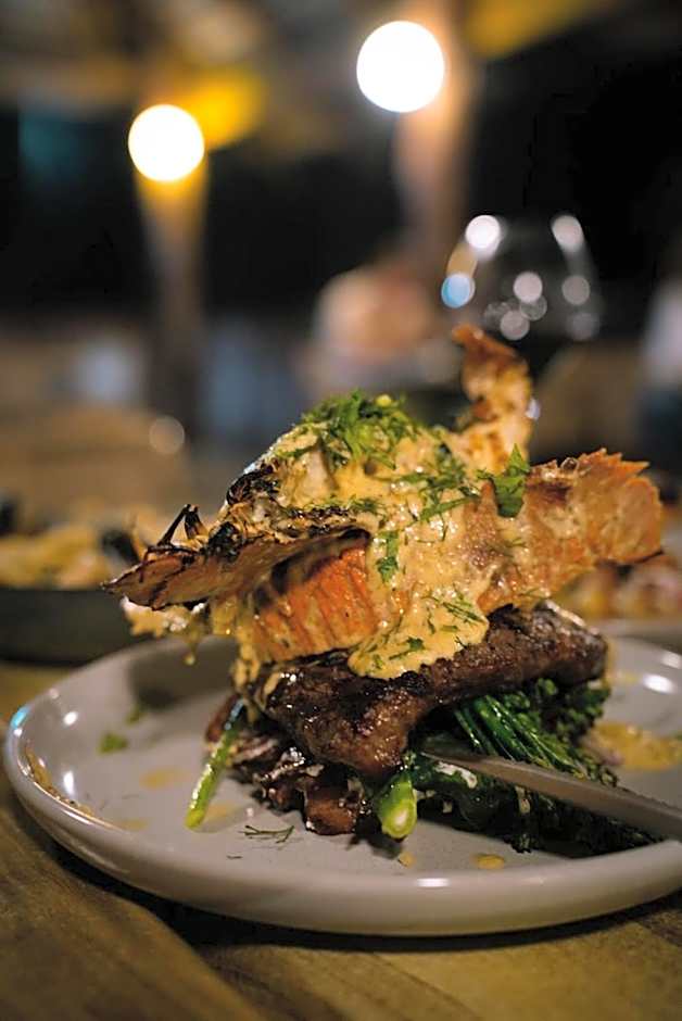 Ferntree Rainforest Lodge