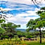 Izintaba Private Game Reserve Waterberg
