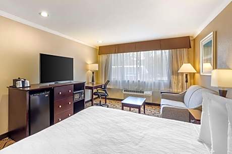 King Apartment with Sofa Bed and Full Kitchen - Non-Smoking