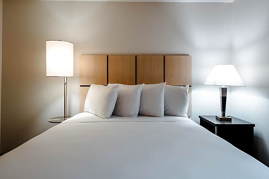 Sonesta Simply Suites Dallas Richardson