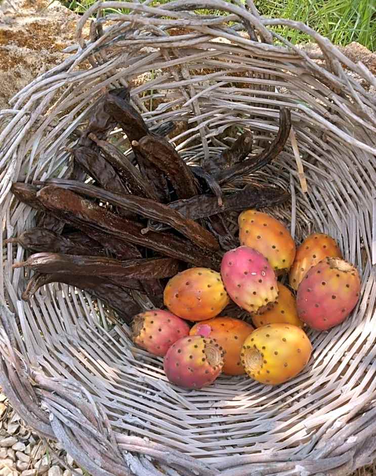 Casa Vacanze 'Al Giardino degli Ulivi'