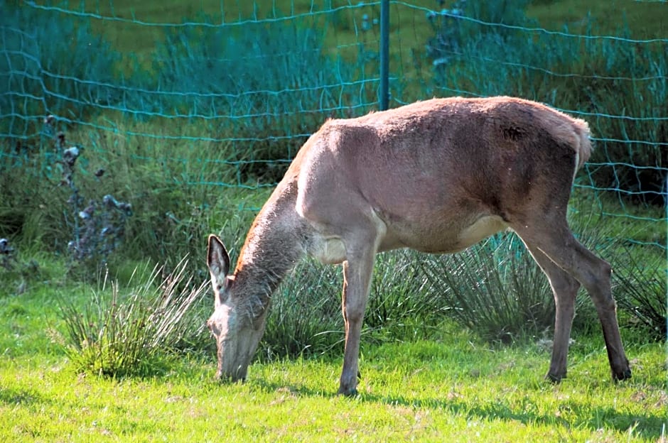 Naturhotel Rebling