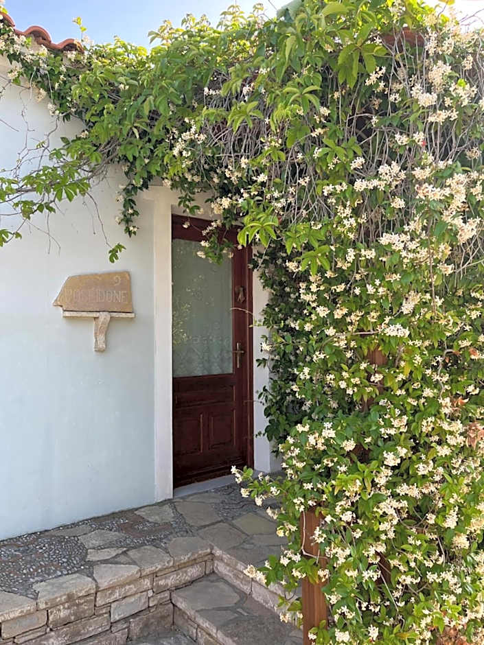 Pantheon Apartments & Studios