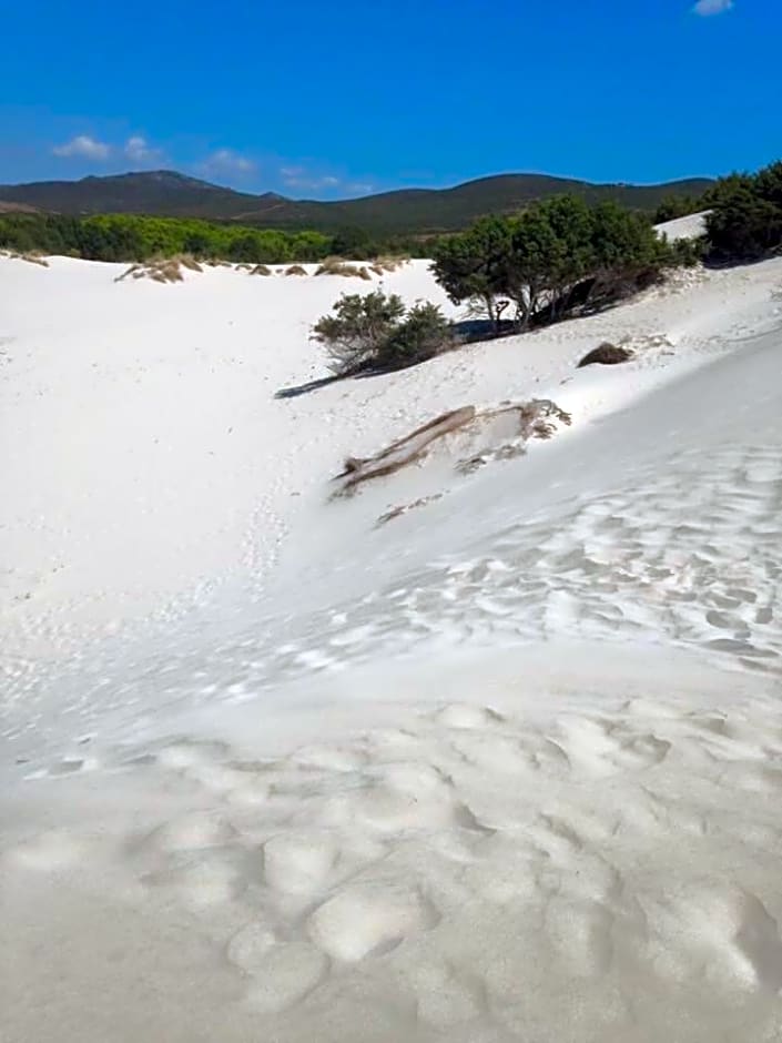 La Macchia Mediterranea