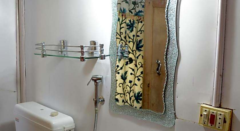 Houseboat Zaindari Palace