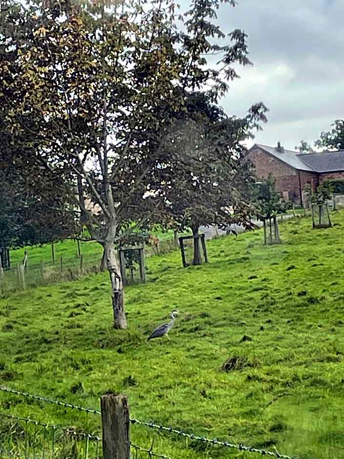 Oakenholt Farm Bed and Breakfast