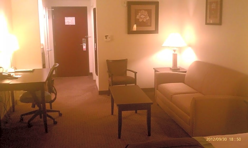 Holiday Inn Express & Suites Mobile West - I-10