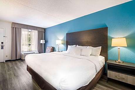 1 King Bed Nonsmoking