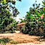 Tastura Homestay
