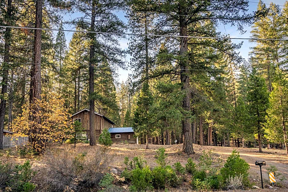 Escape to The Cabin, 1GB Fiber Ultrafast Wifi!