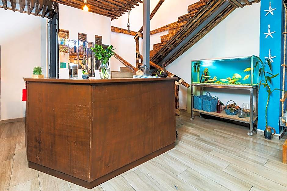 Capital O Posada Del Pescador, Los Cabos