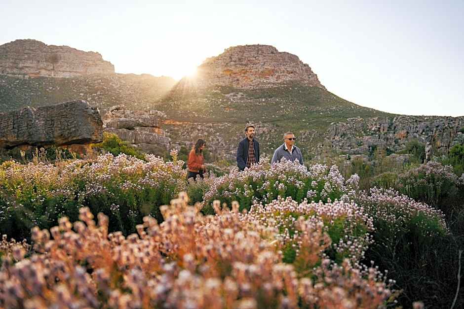Simbavati Cederberg Ridge