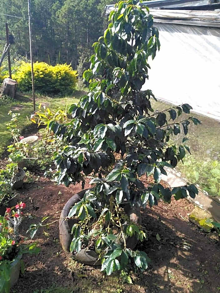 Banga-an BnB and Coffee House