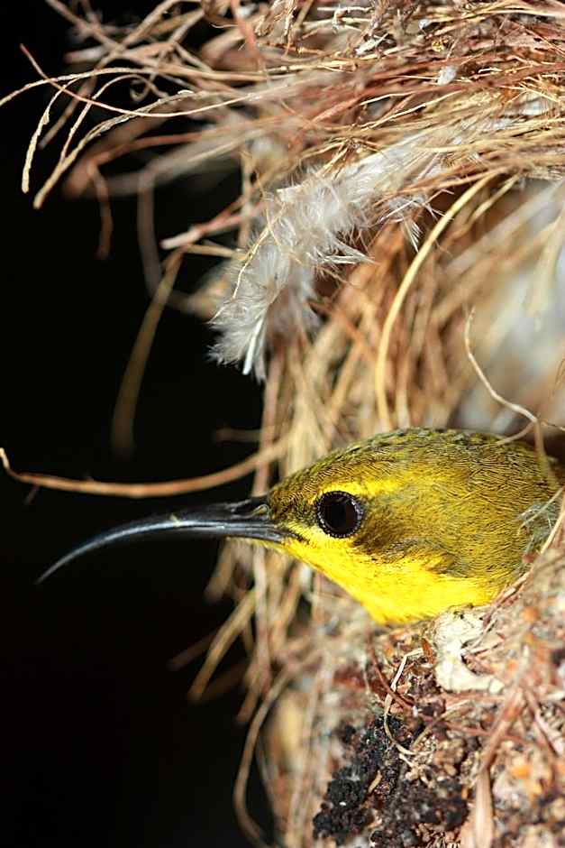 Clifton Sands Holiday Units