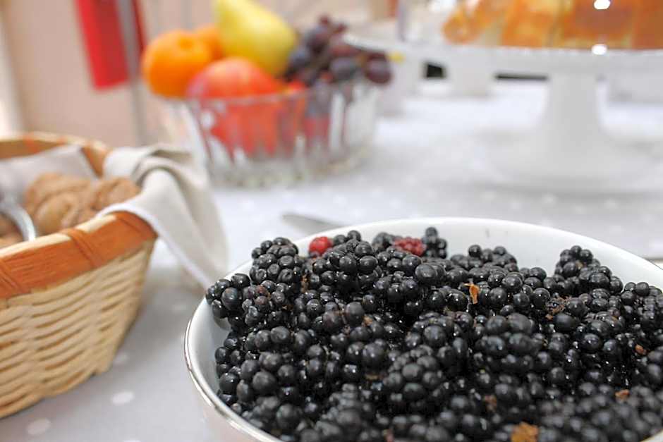 Il giardino degli aranci