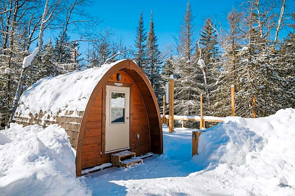 Entre Lemoine et l'arbre