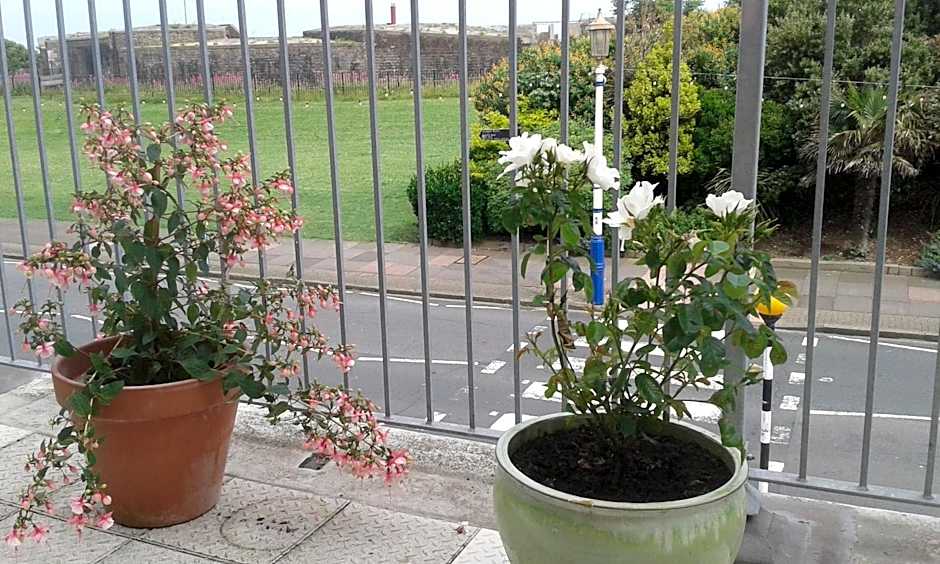 By The Sea Bed and Breakfast