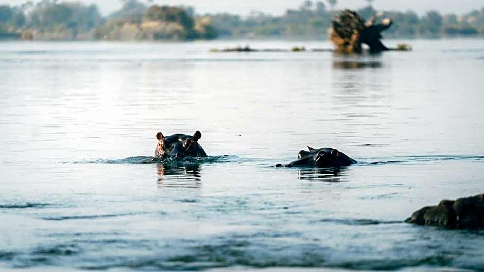 Maramba River Lodge