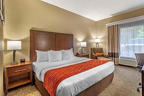 1 King Bed, Nonsmoking, Accessible