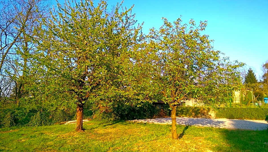 B&B Vinago Belvedere