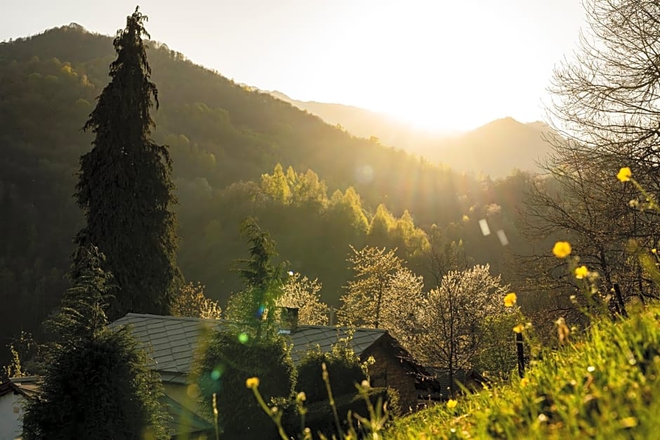 B&B IDUEVAGAMONDI immerso nel bosco tra le MONTAGNE con area benessere come EXTRA