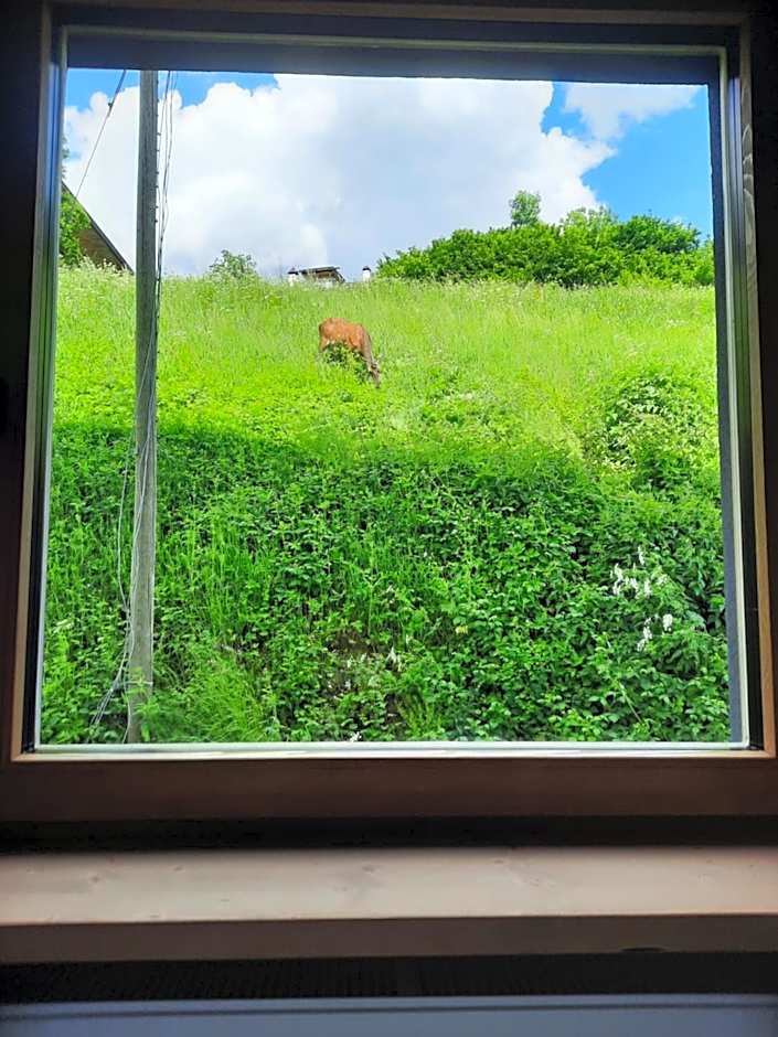 Ama Dolomiti - Residence