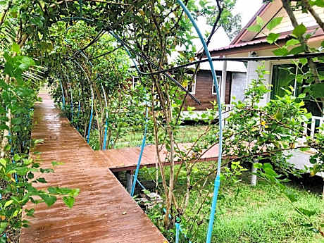 Baan Thung Home Stay