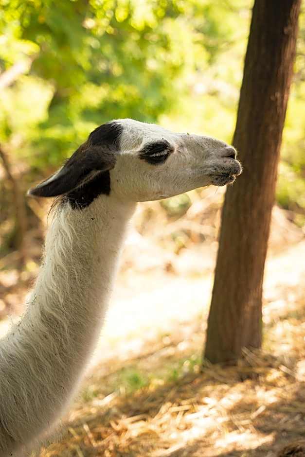 Terme Di Monte Valenza