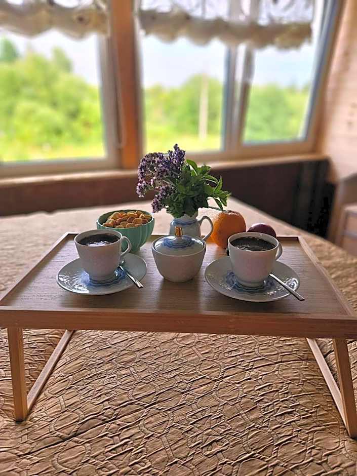 Gluosnių vila - Adutiškio pirtis