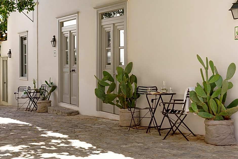 Cactus Hydra - Art Apartments