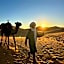 The Luxury ERG Safari Camp