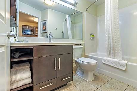 1 Queen Studio Mobility Accessible Roll in Shower