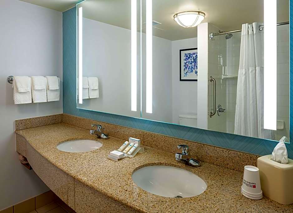 Hilton Garden Inn Chicago O' Hare