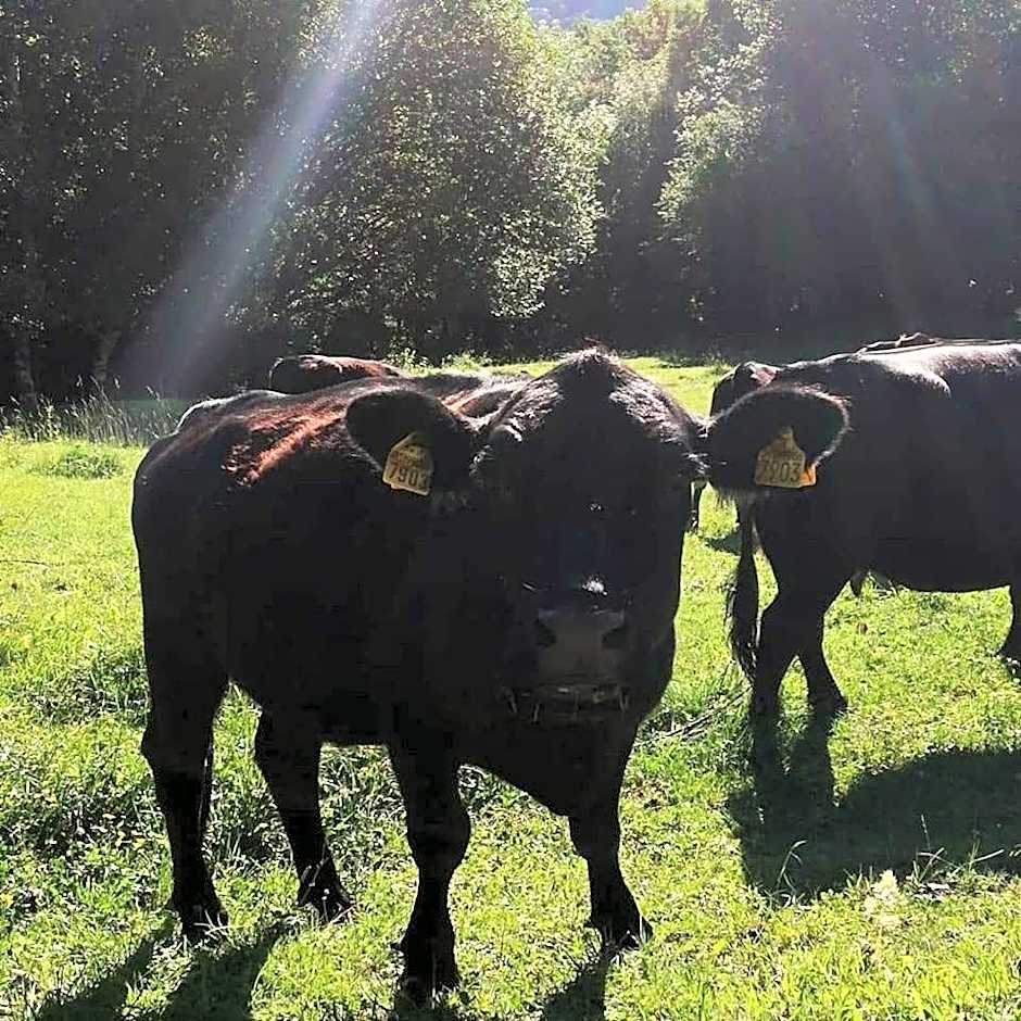 Hotel Villa Simplicitas