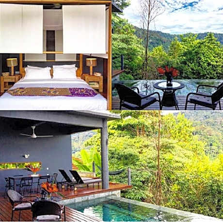 King Suite with Pool View