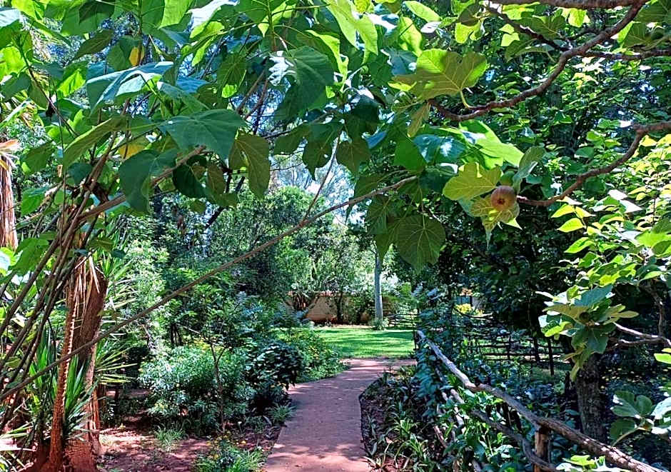 Woodland Gardens Self-Catering & Pet-Friendly Lodge