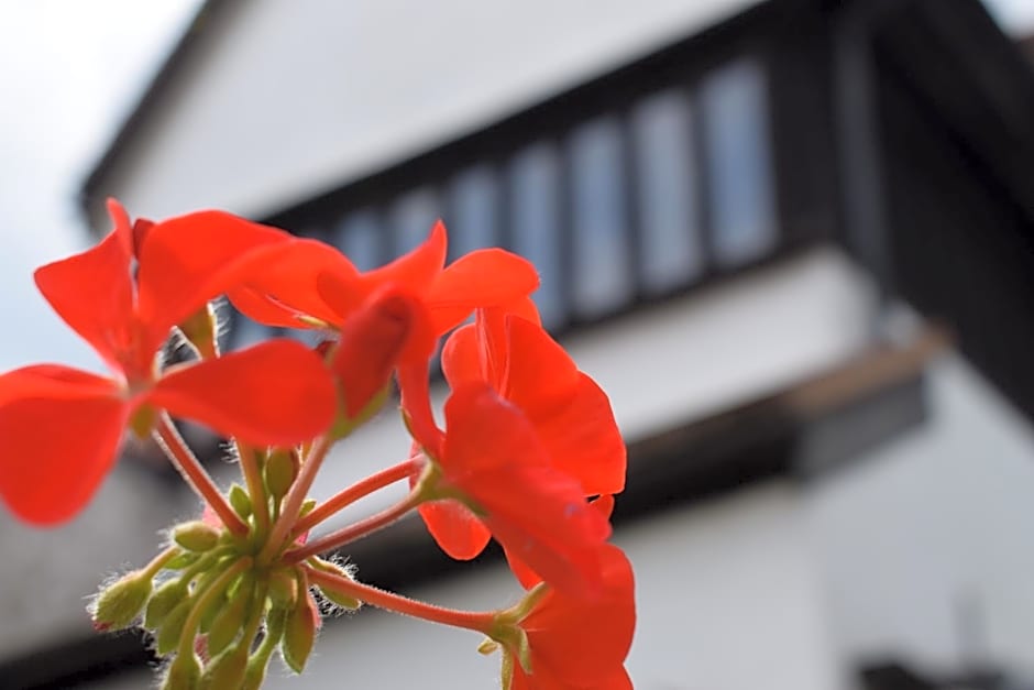 Alma Inn & Dining Rooms