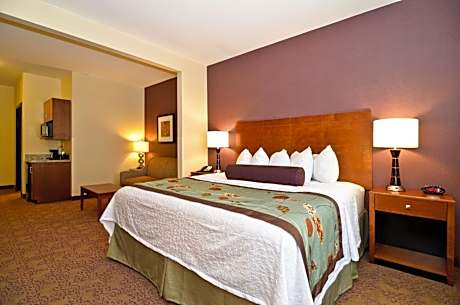 King Suite with Sofa Bed - Non-Smoking