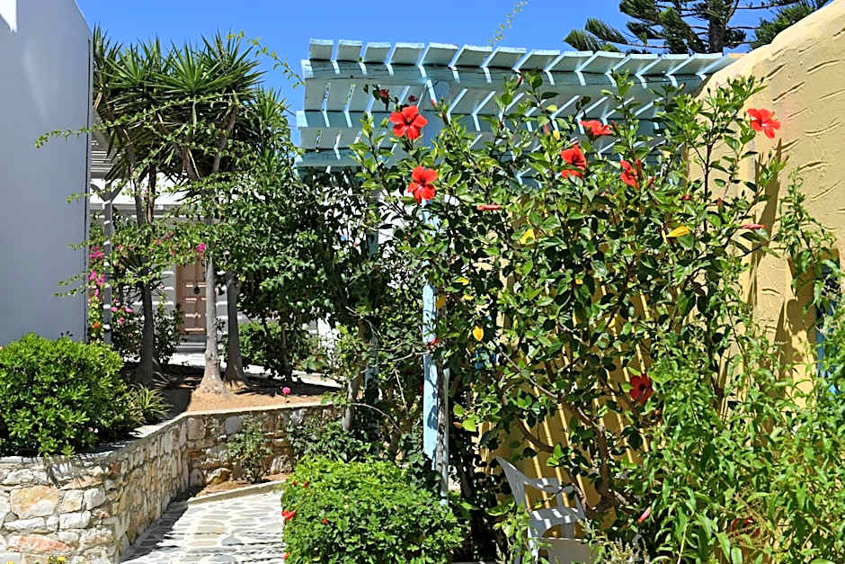 Surfing Beach Village Paros