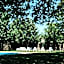Pazo Almuzara