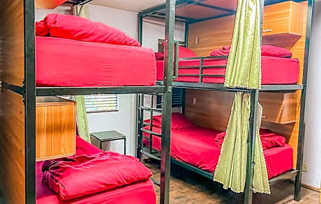 Bed in 8-Bed Mixed Dormitory Room with En suite Bathroom