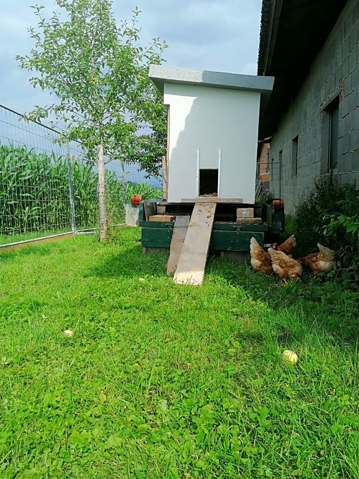 Grafhaidergut - Urlaub am Bauernhof - Auszeit am Land