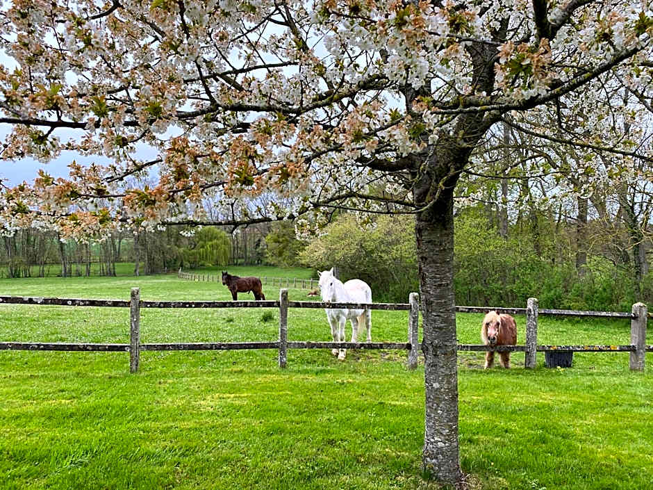 B&B Château de Preuil