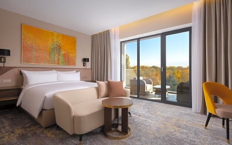 Deluxe King Room with Panoramic Mountain View