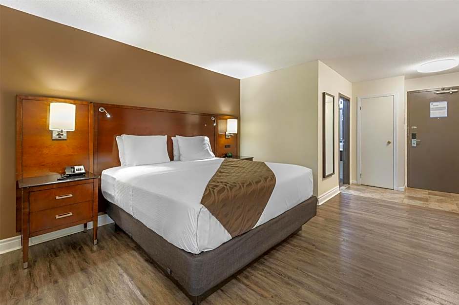 Photo 1 of 4 of 1 King Bed
