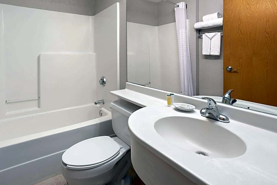 Microtel Inn & Suites By Wyndham Ann Arbor